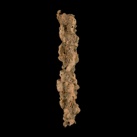 3.5" Fulgurite Petrified Lightning Strike Glass Sahara Desert Algeria - Fossil Age Minerals