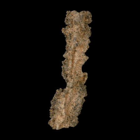 2.9" Fulgurite Petrified Lightning Strike Glass Sahara Desert Algeria
