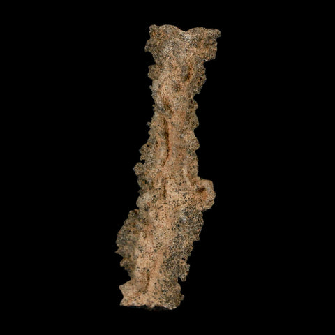 2.9" Fulgurite Petrified Lightning Strike Glass Sahara Desert Algeria - Fossil Age Minerals