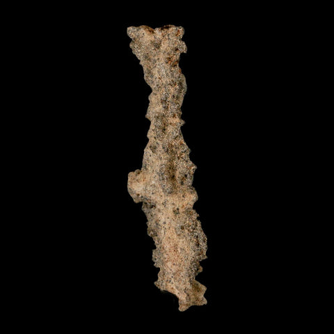 2.9" Fulgurite Petrified Lightning Strike Glass Sahara Desert Algeria - Fossil Age Minerals
