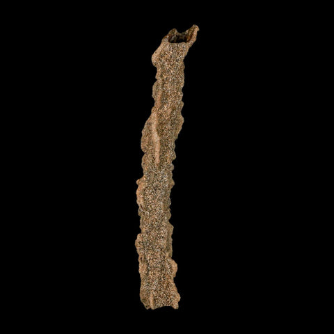 3.9" Fulgurite Petrified Lightning Strike Glass Sahara Desert Algeria - Fossil Age Minerals