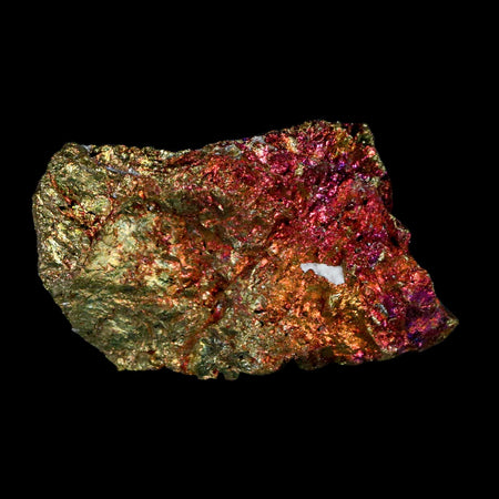 2.4" Chalcopyrite Bornite Brilliant Multicolored Peacock Ore Chihuahua Mexico