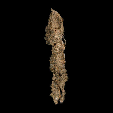3.1" Fulgurite Petrified Lightning Strike Glass Sahara Desert Algeria - Fossil Age Minerals