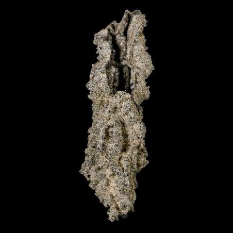 2.9" Fulgurite Petrified Lightning Strike Glass Sahara Desert Algeria - Fossil Age Minerals