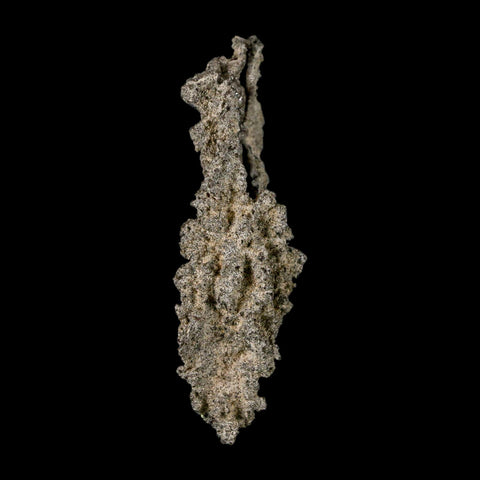 2.9" Fulgurite Petrified Lightning Strike Glass Sahara Desert Algeria - Fossil Age Minerals