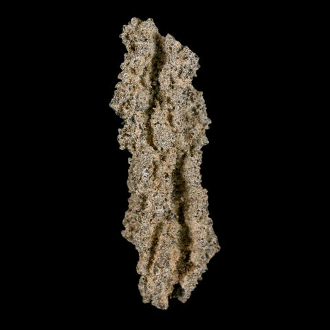 2.9" Fulgurite Petrified Lightning Strike Glass Sahara Desert Algeria - Fossil Age Minerals