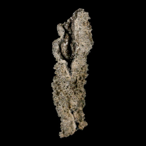 2.9" Fulgurite Petrified Lightning Strike Glass Sahara Desert Algeria - Fossil Age Minerals