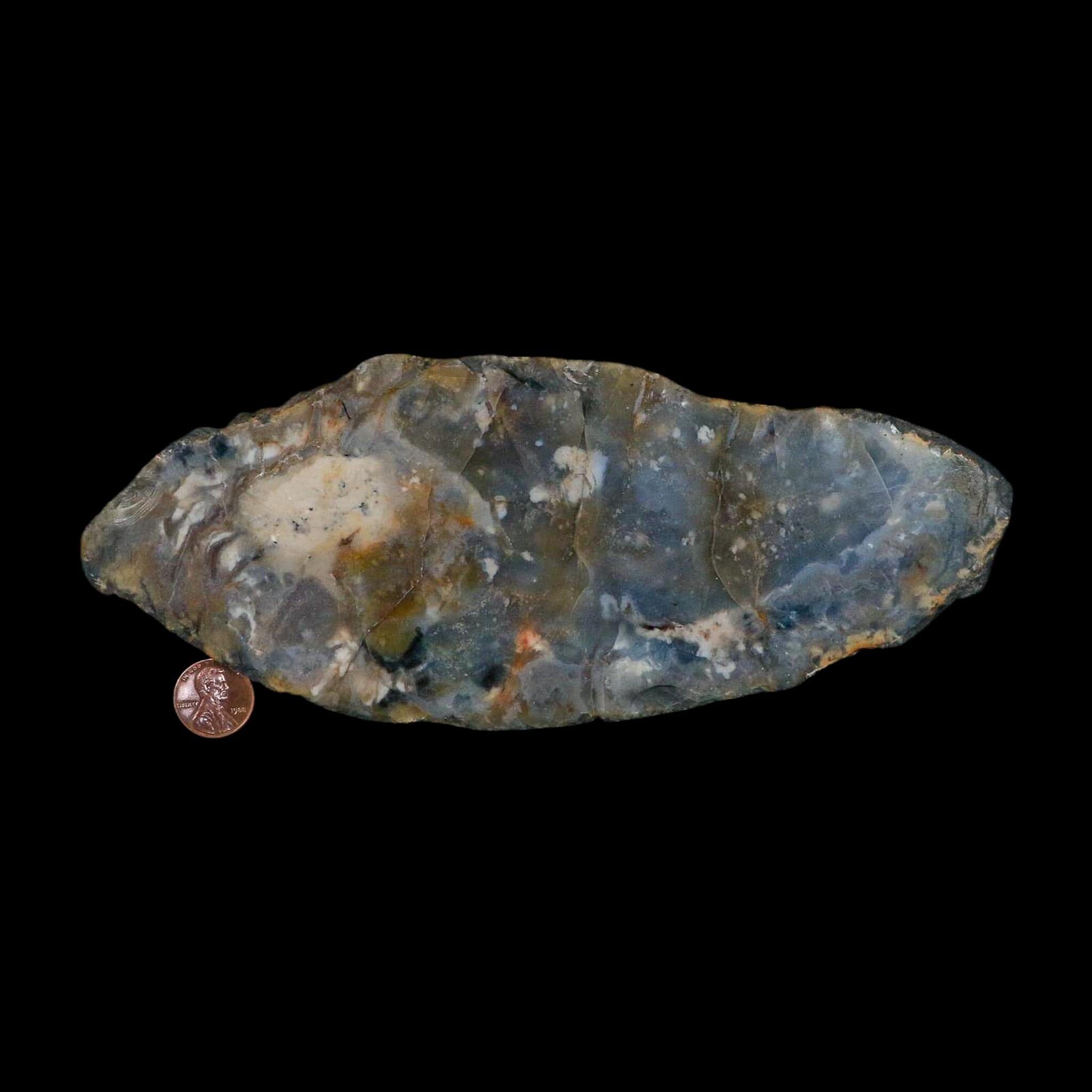 8.5" Dinosaur Coprolite Fossil Polished Slab Specimen Poop Dung Harry Mountain Utah - Fossil Age Minerals
