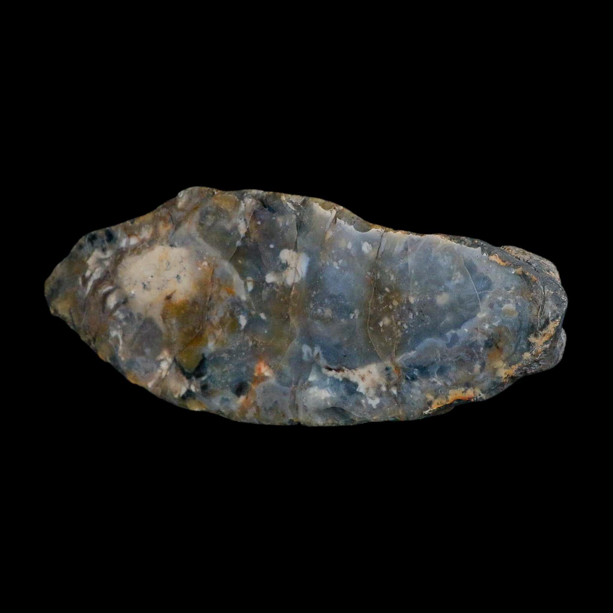 8.5" Dinosaur Coprolite Fossil Polished Slab Specimen Poop Dung Harry Mountain Utah - Fossil Age Minerals