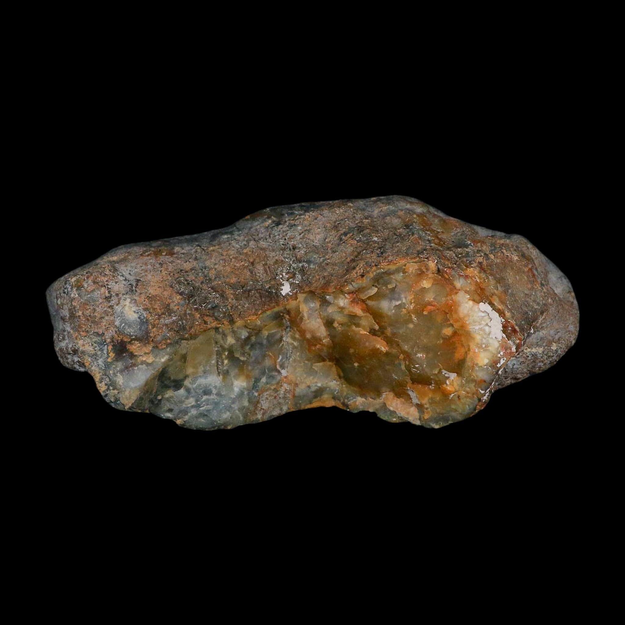 8.5" Dinosaur Coprolite Fossil Polished Slab Specimen Poop Dung Harry Mountain Utah - Fossil Age Minerals