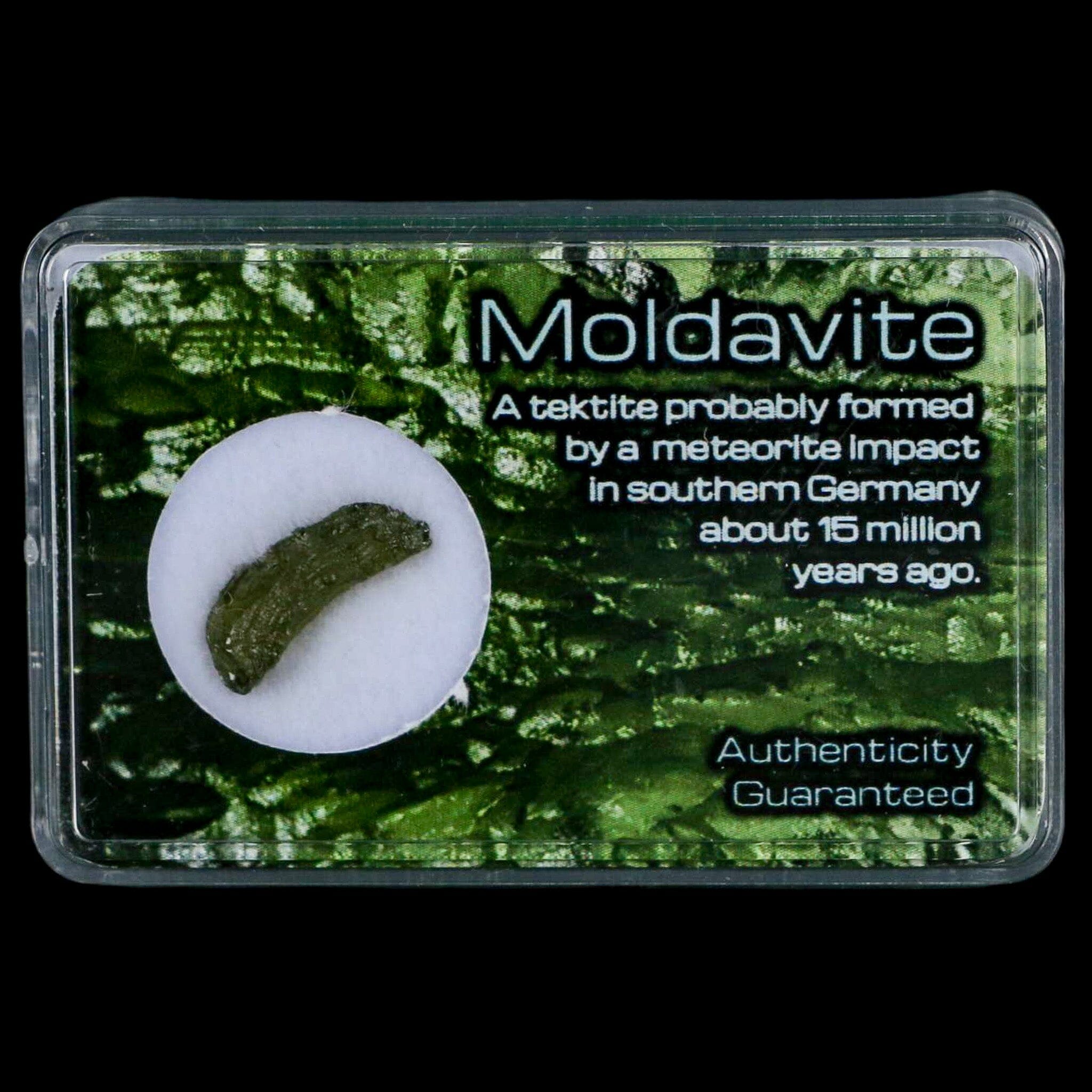 Moldavite Tektite Green Glass Meteorite Specimen Southern Germany Display - Fossil Age Minerals