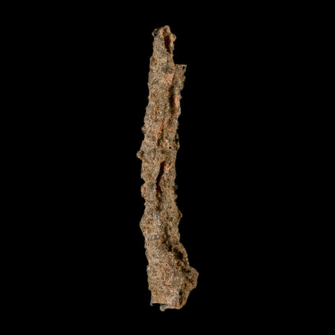 XL 4.9" Fulgurite Petrified Lightning Strike Glass Sahara Desert Algeria - Fossil Age Minerals