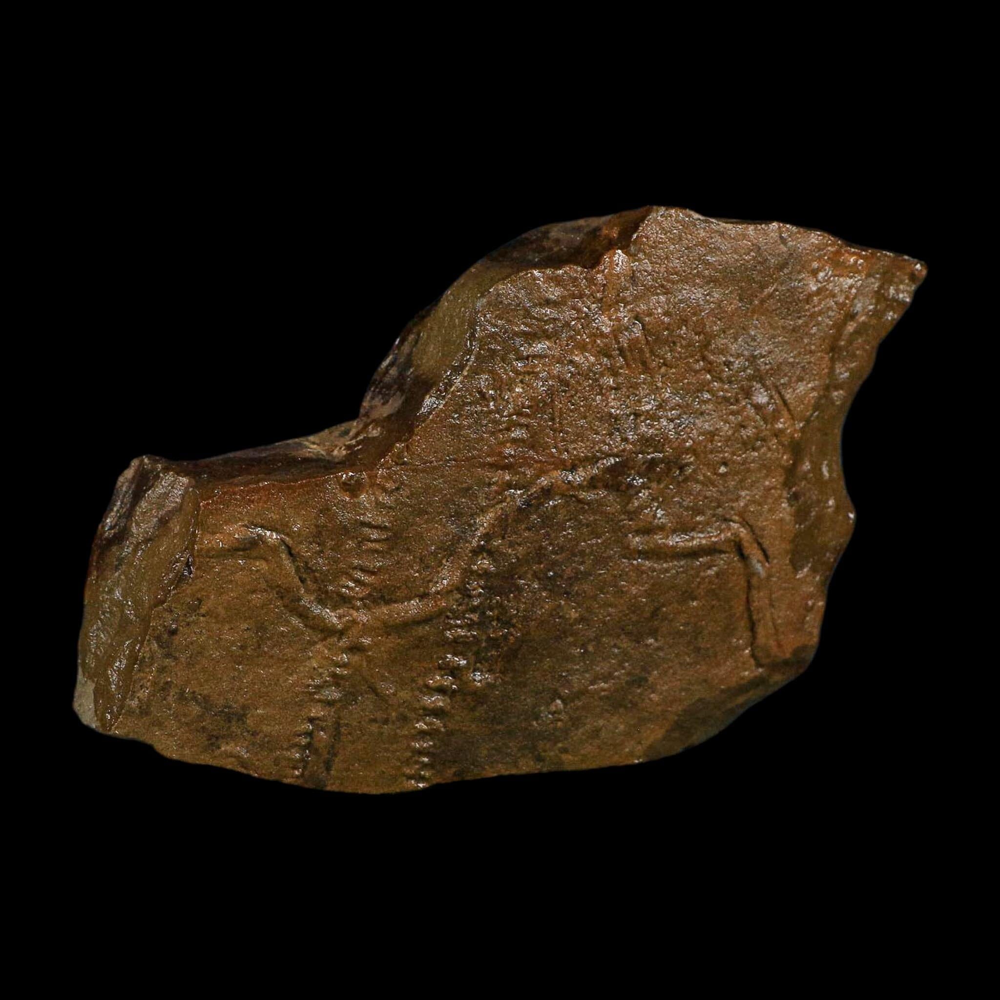 4.6" Trilobite Trackway Cruziana Plate Fossil Ordovician Age Ouzina Morocco - Fossil Age Minerals