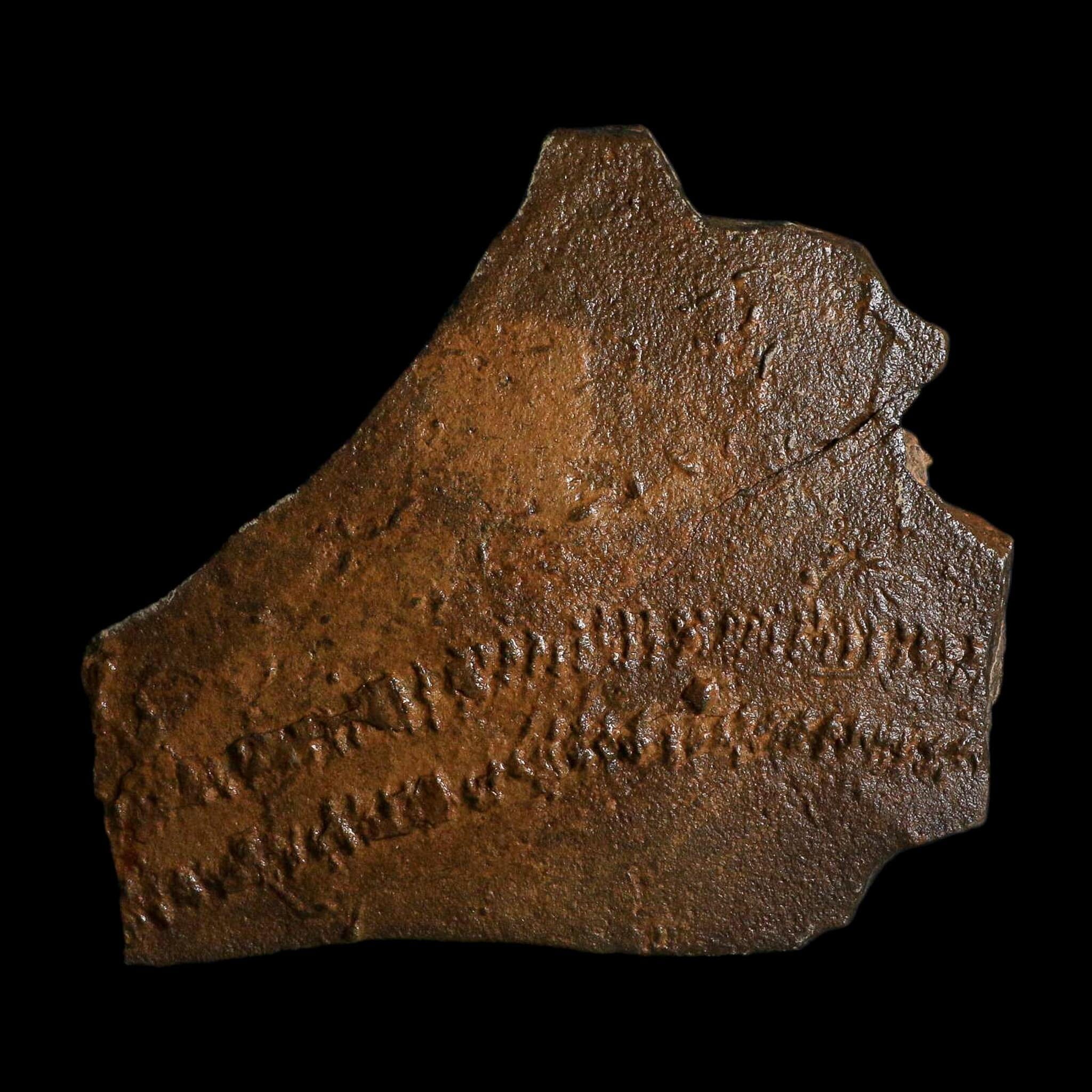 5.3" Trilobite Trackway Cruziana Plate Fossil Ordovician Age Ouzina Morocco - Fossil Age Minerals