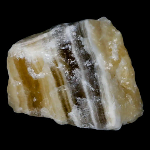 1.7" Natural Rough Zebra Calcite Crystal Mineral Specimen Nuevo Leon Mexico - Fossil Age Minerals