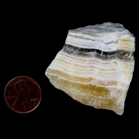 1.9" Natural Rough Zebra Calcite Crystal Mineral Specimen Nuevo Leon Mexico - Fossil Age Minerals