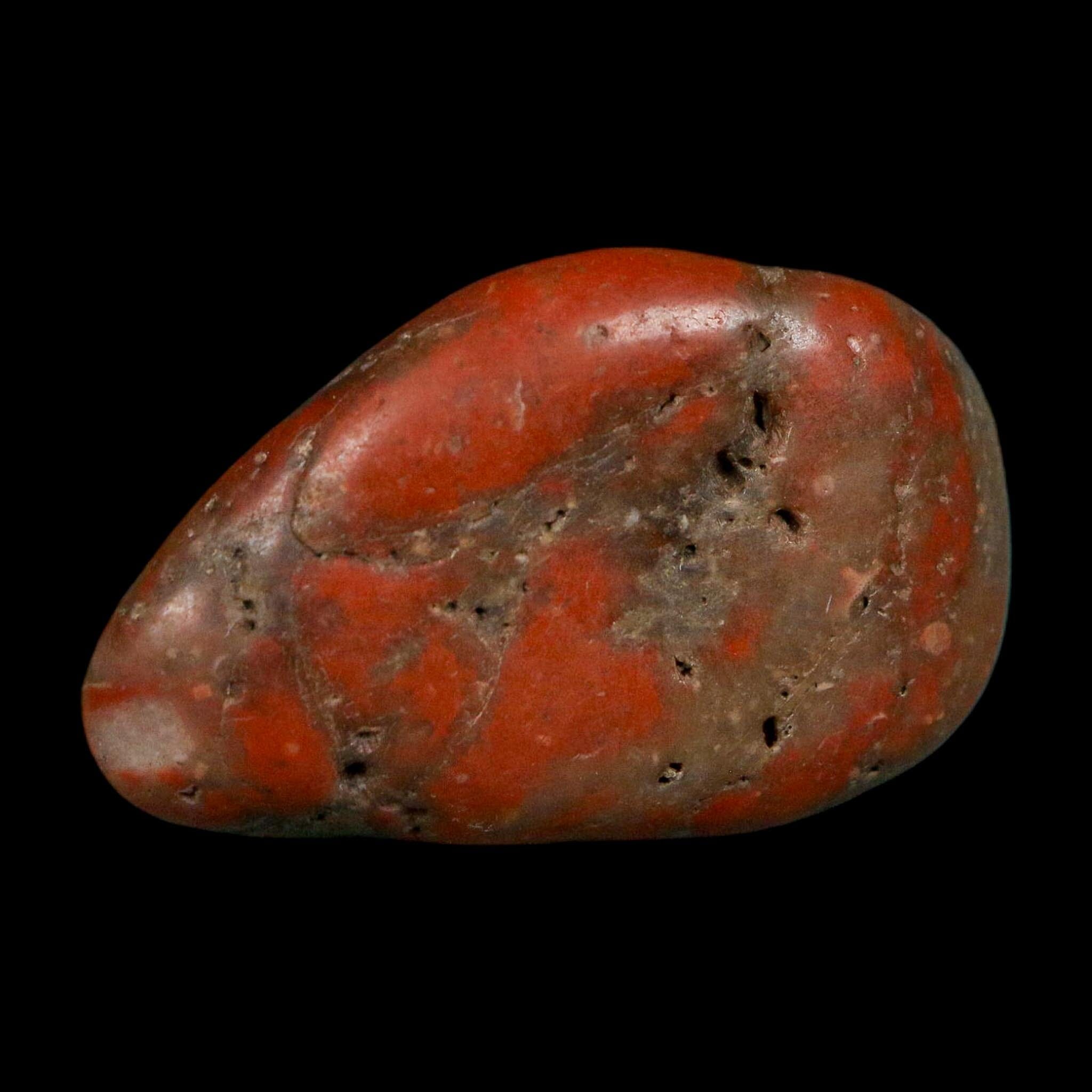 1.7" Sauropod Dinosaur Stomach Stone Gastrolith Rock Gizzard Stone COA - Fossil Age Minerals