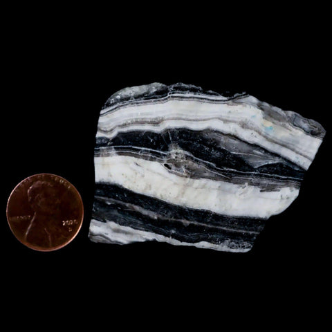 2.1" Natural Rough Zebra Calcite Crystal Mineral Specimen Nuevo Leon Mexico - Fossil Age Minerals