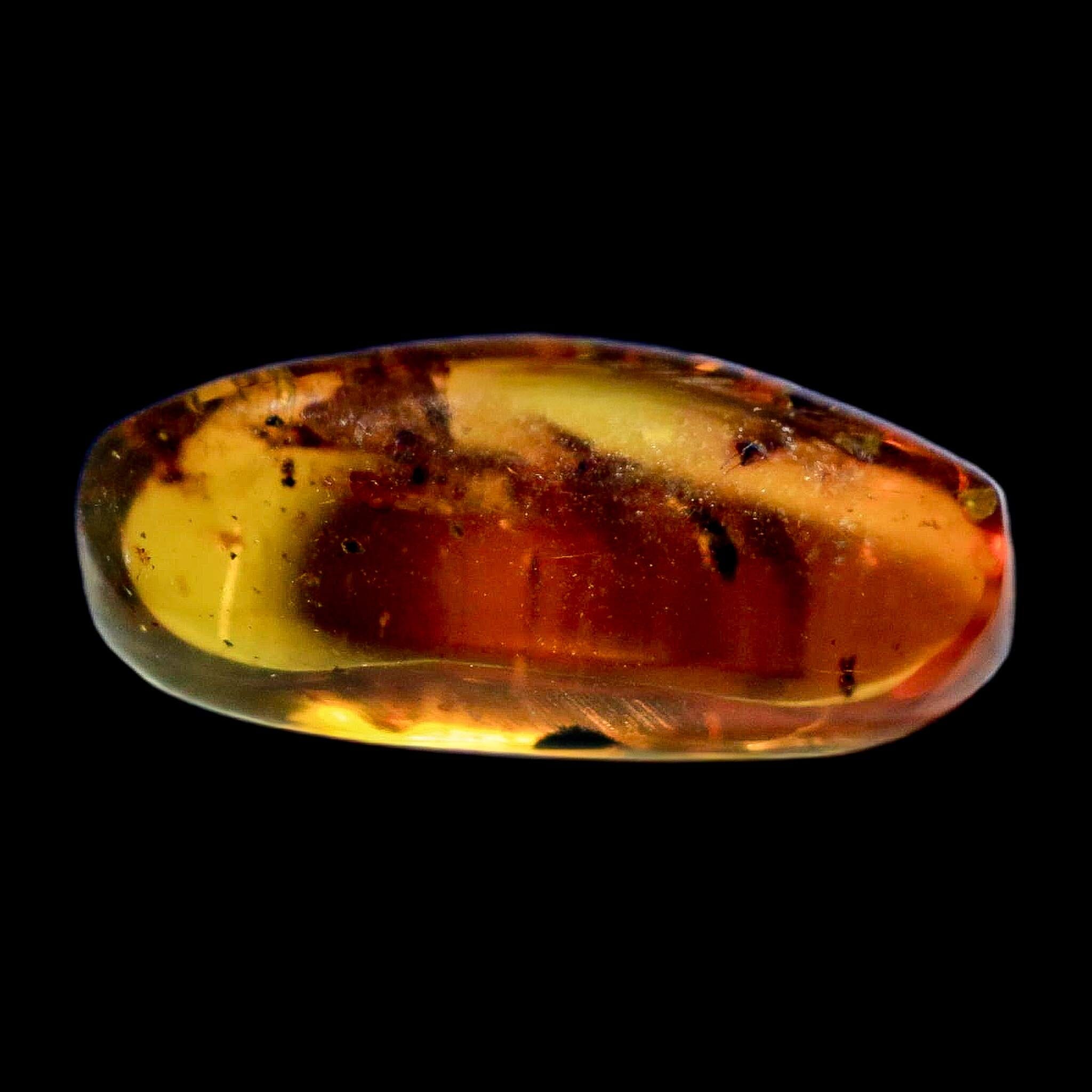 Burmese Insect Amber Unknown Flying Fossil Cretaceous Bermite Dinosaur Age - Fossil Age Minerals