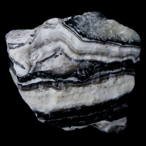 2.1" Natural Rough Zebra Calcite Crystal Mineral Specimen Nuevo Leon Mexico - Fossil Age Minerals