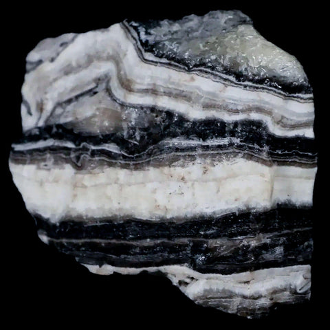 2.1" Natural Rough Zebra Calcite Crystal Mineral Specimen Nuevo Leon Mexico - Fossil Age Minerals