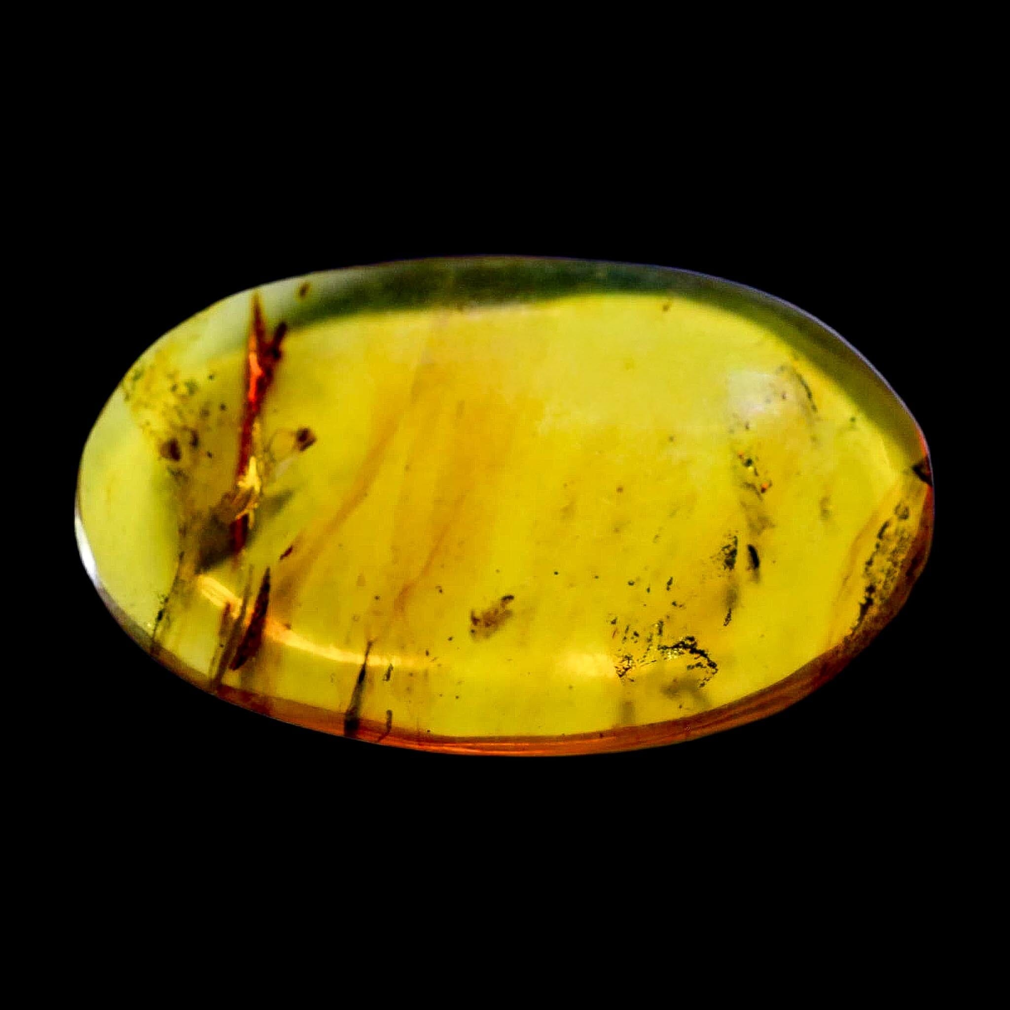 Burmese Insect Amber Coleoptera Beetle Bug Fossil Cretaceous Bermite Dinosaur Age - Fossil Age Minerals