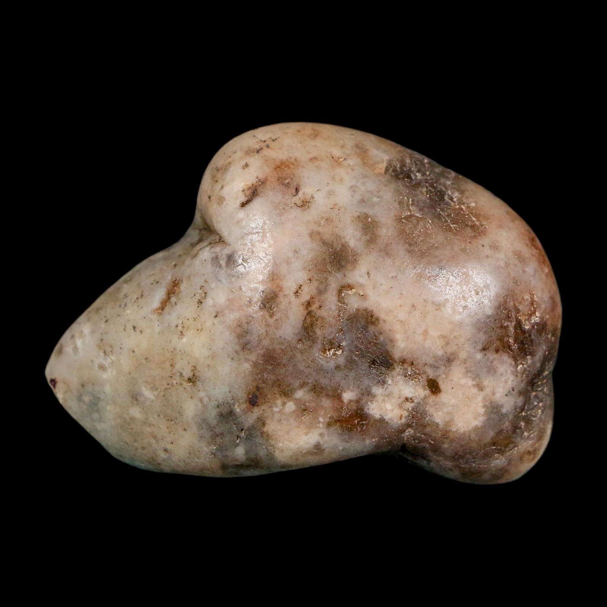 2" Sauropod Dinosaur Stomach Stone Gastrolith Rock Gizzard Stone COA - Fossil Age Minerals
