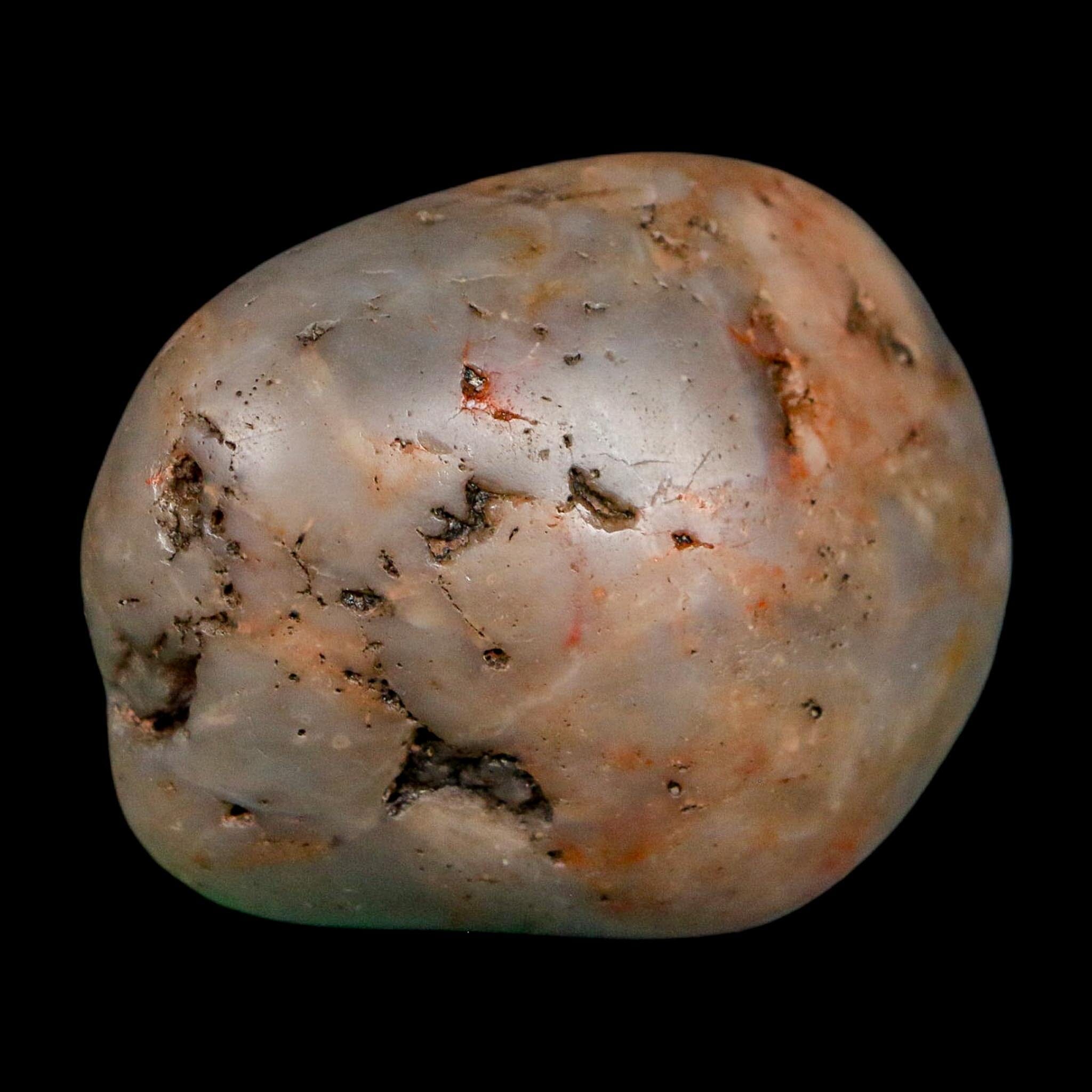 1.9" Sauropod Dinosaur Stomach Stone Gastrolith Rock Gizzard Stone COA - Fossil Age Minerals