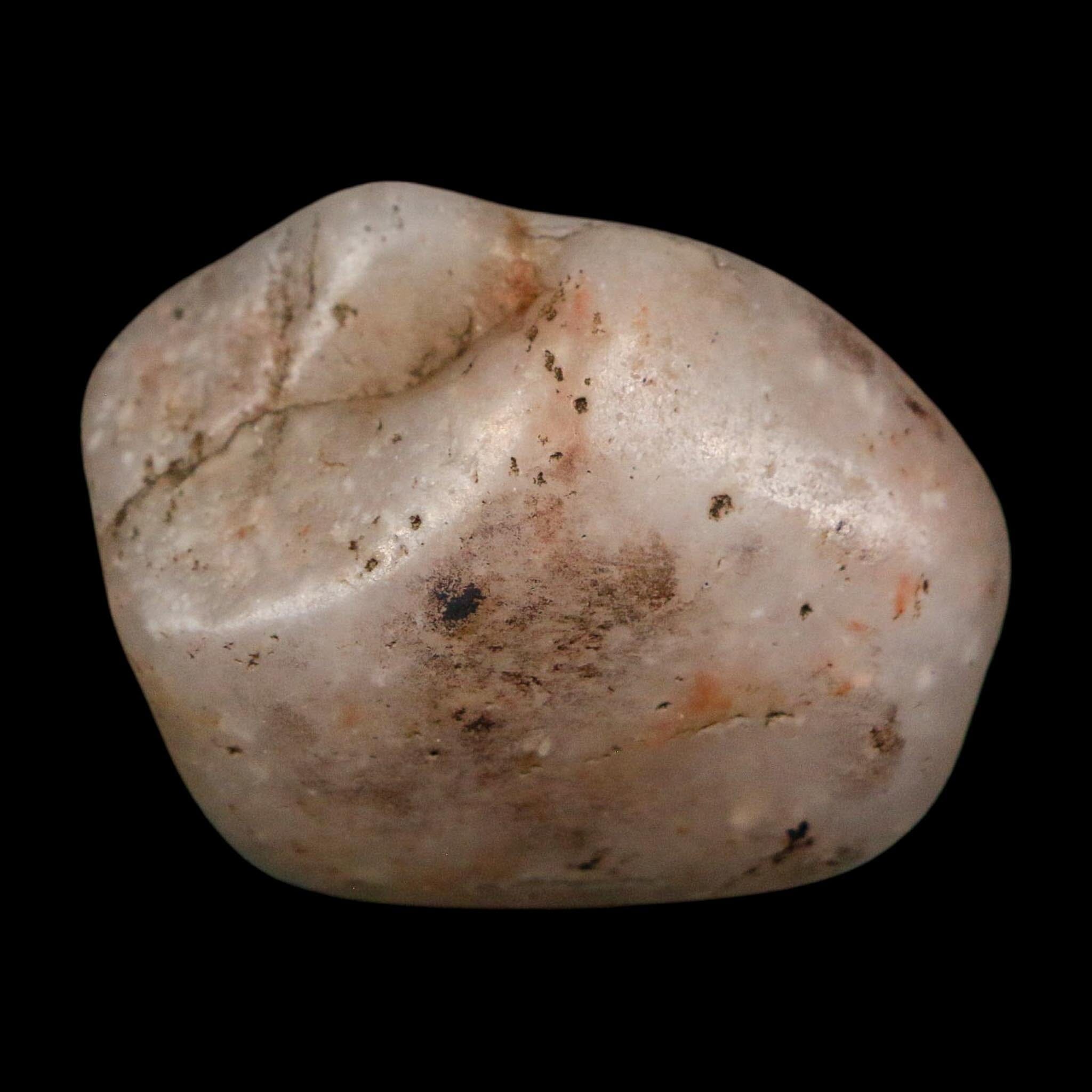 1.6" Sauropod Dinosaur Stomach Stone Gastrolith Rock Gizzard Stone COA - Fossil Age Minerals