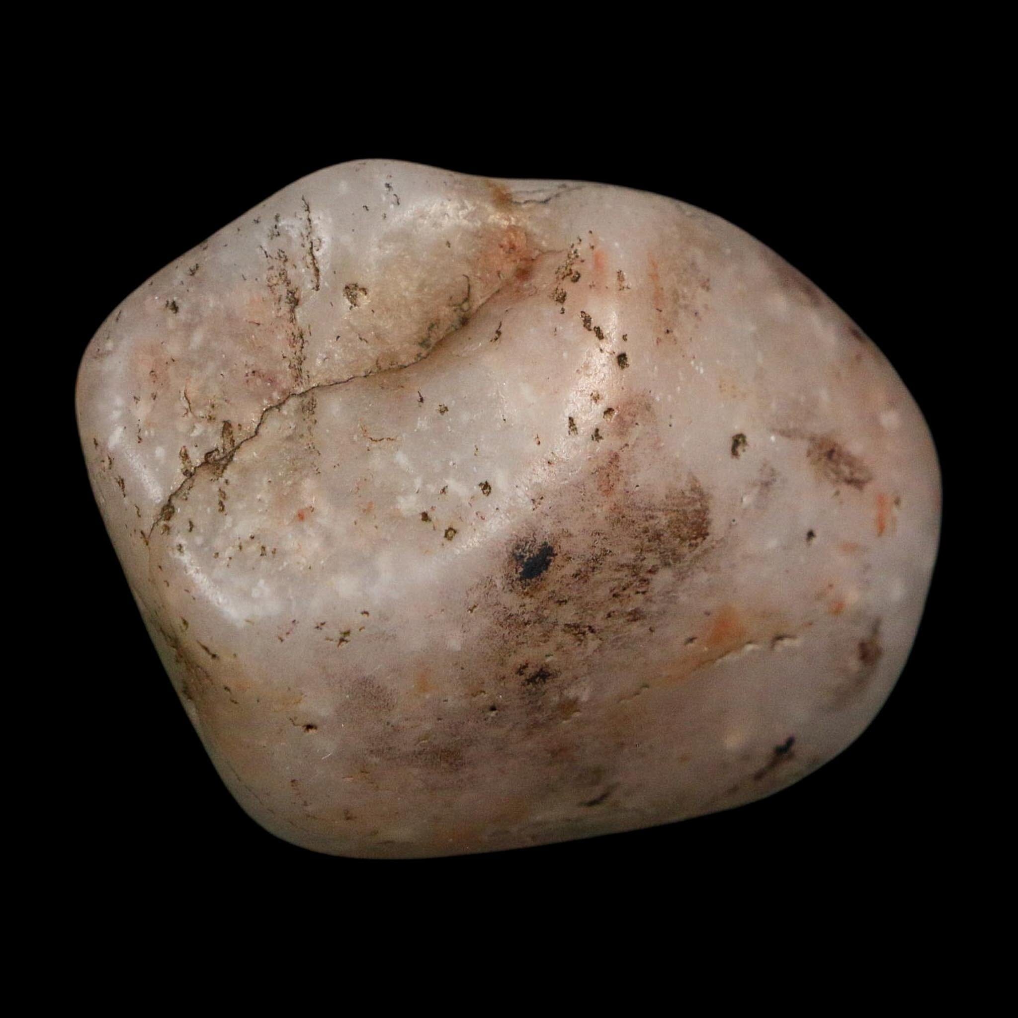 1.6" Sauropod Dinosaur Stomach Stone Gastrolith Rock Gizzard Stone COA - Fossil Age Minerals