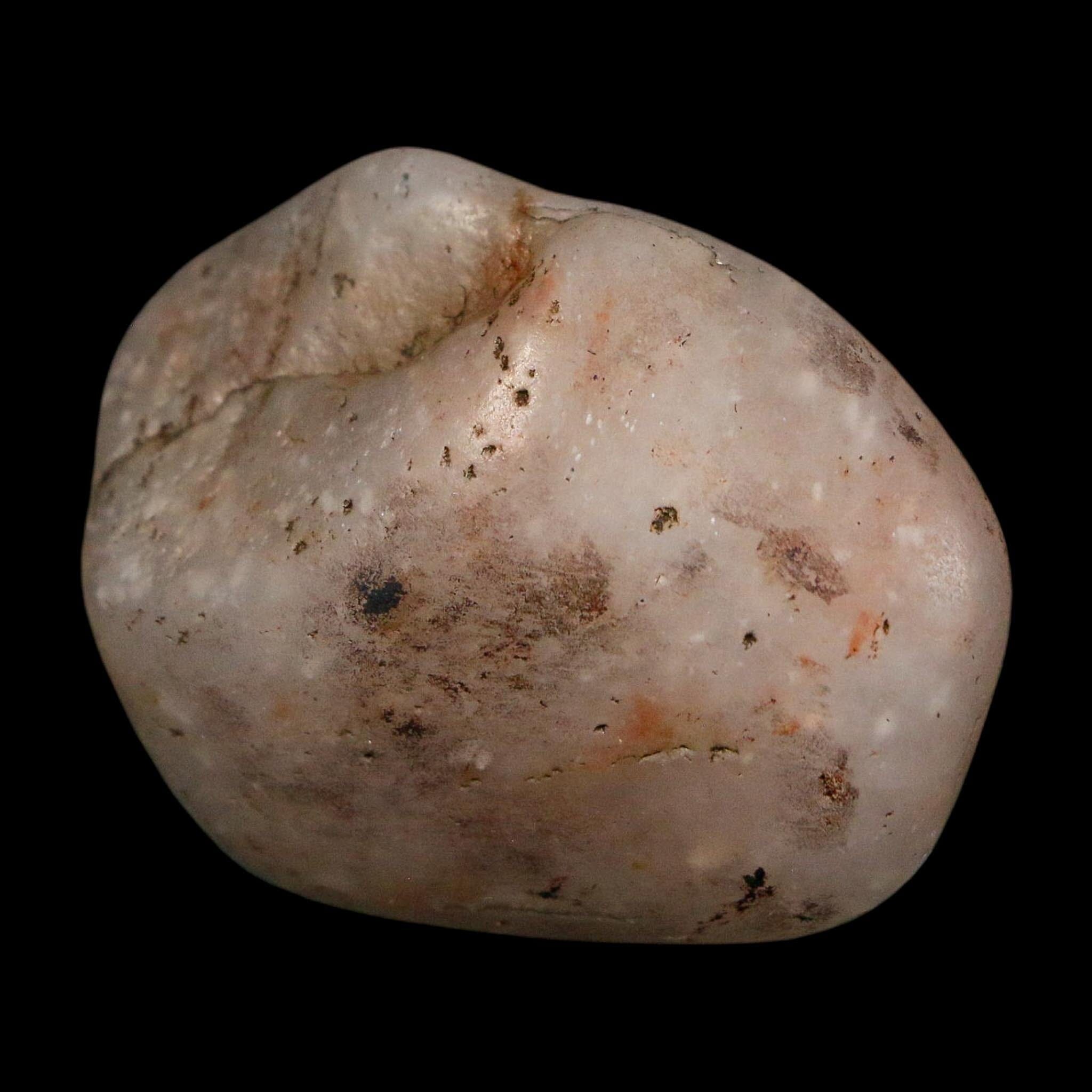 1.6" Sauropod Dinosaur Stomach Stone Gastrolith Rock Gizzard Stone COA - Fossil Age Minerals