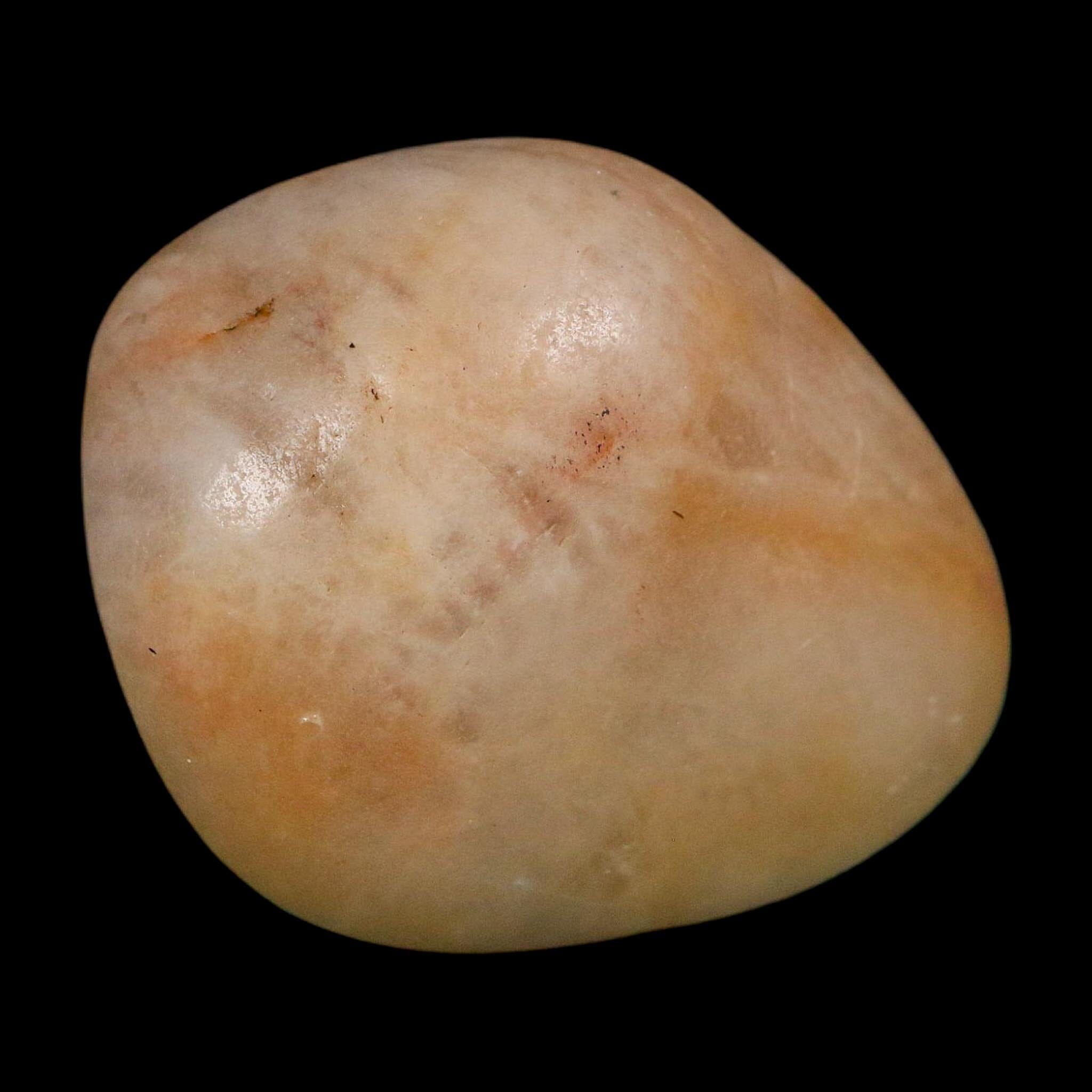 1.7" Sauropod Dinosaur Stomach Stone Gastrolith Rock Gizzard Stone COA - Fossil Age Minerals