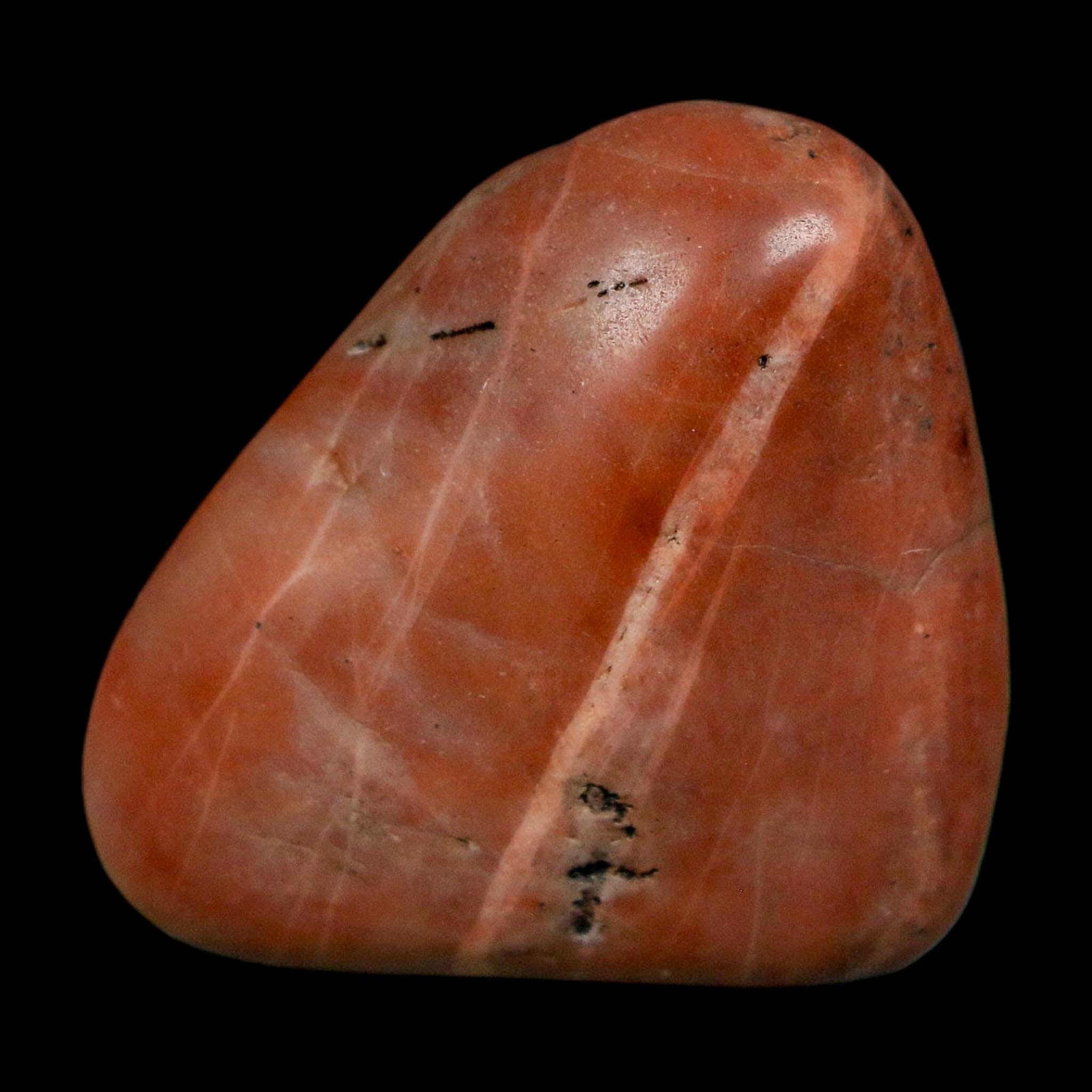 1.4" Sauropod Dinosaur Stomach Stone Gastrolith Rock Gizzard Stone COA - Fossil Age Minerals