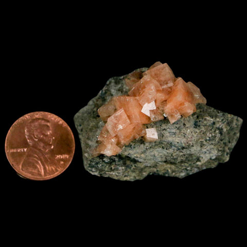 1.9" Orange Chabazite Zeolite Mineral Specimen Er Rachidia Province, Morocco - Fossil Age Minerals