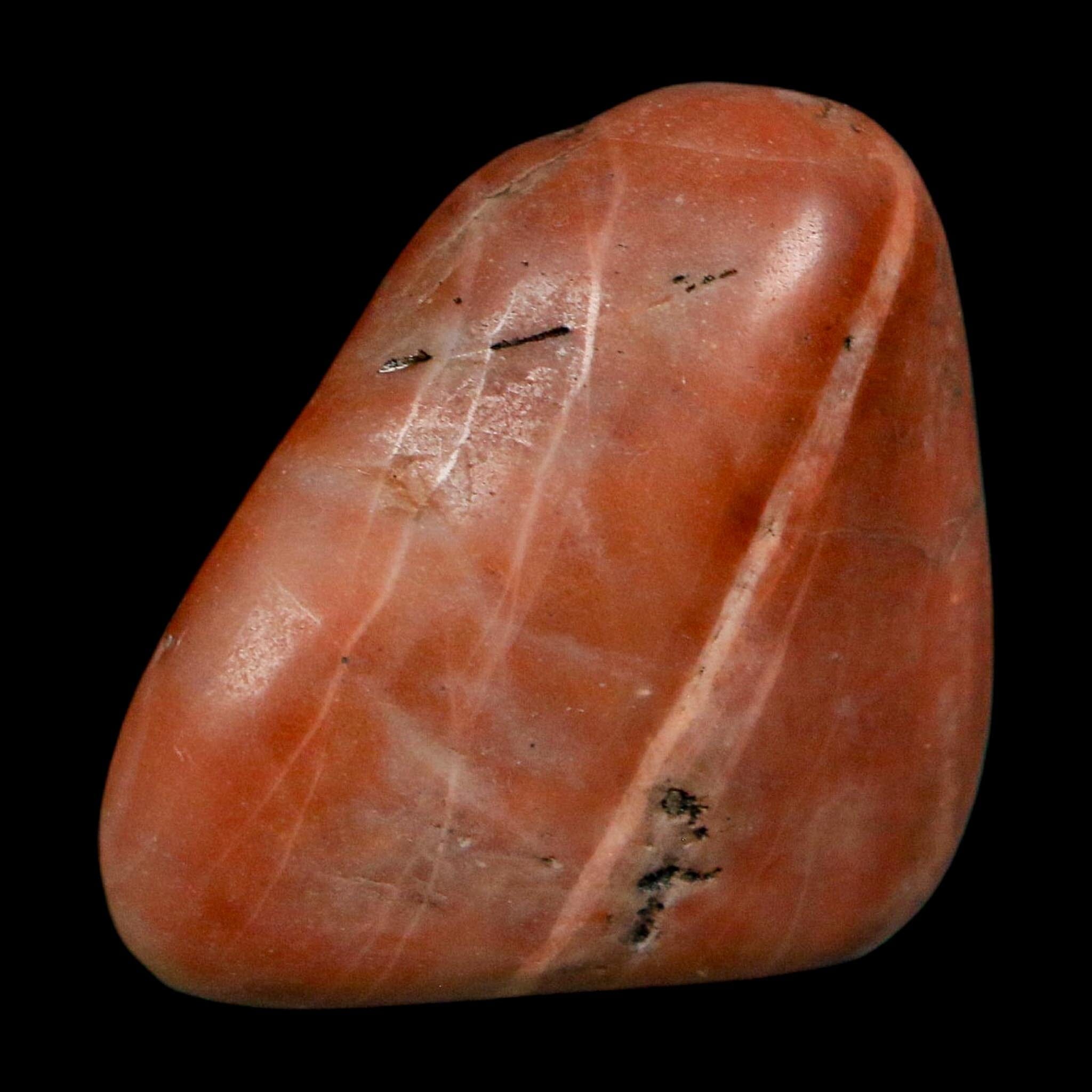 1.4" Sauropod Dinosaur Stomach Stone Gastrolith Rock Gizzard Stone COA - Fossil Age Minerals