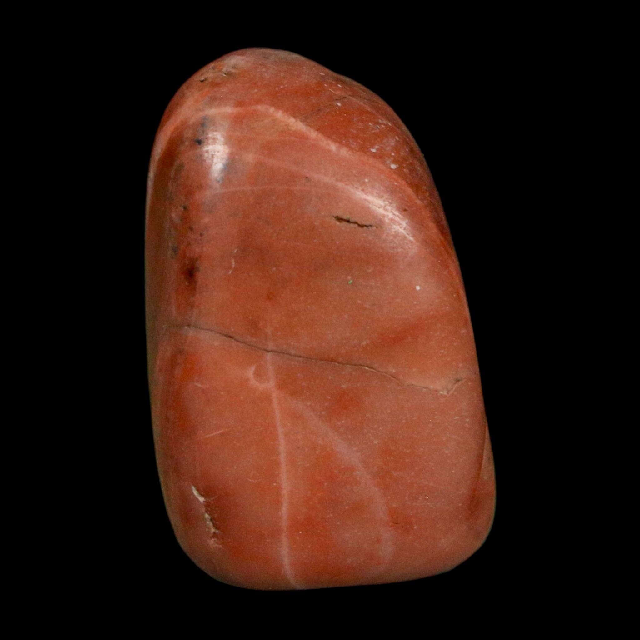 1.4" Sauropod Dinosaur Stomach Stone Gastrolith Rock Gizzard Stone COA - Fossil Age Minerals
