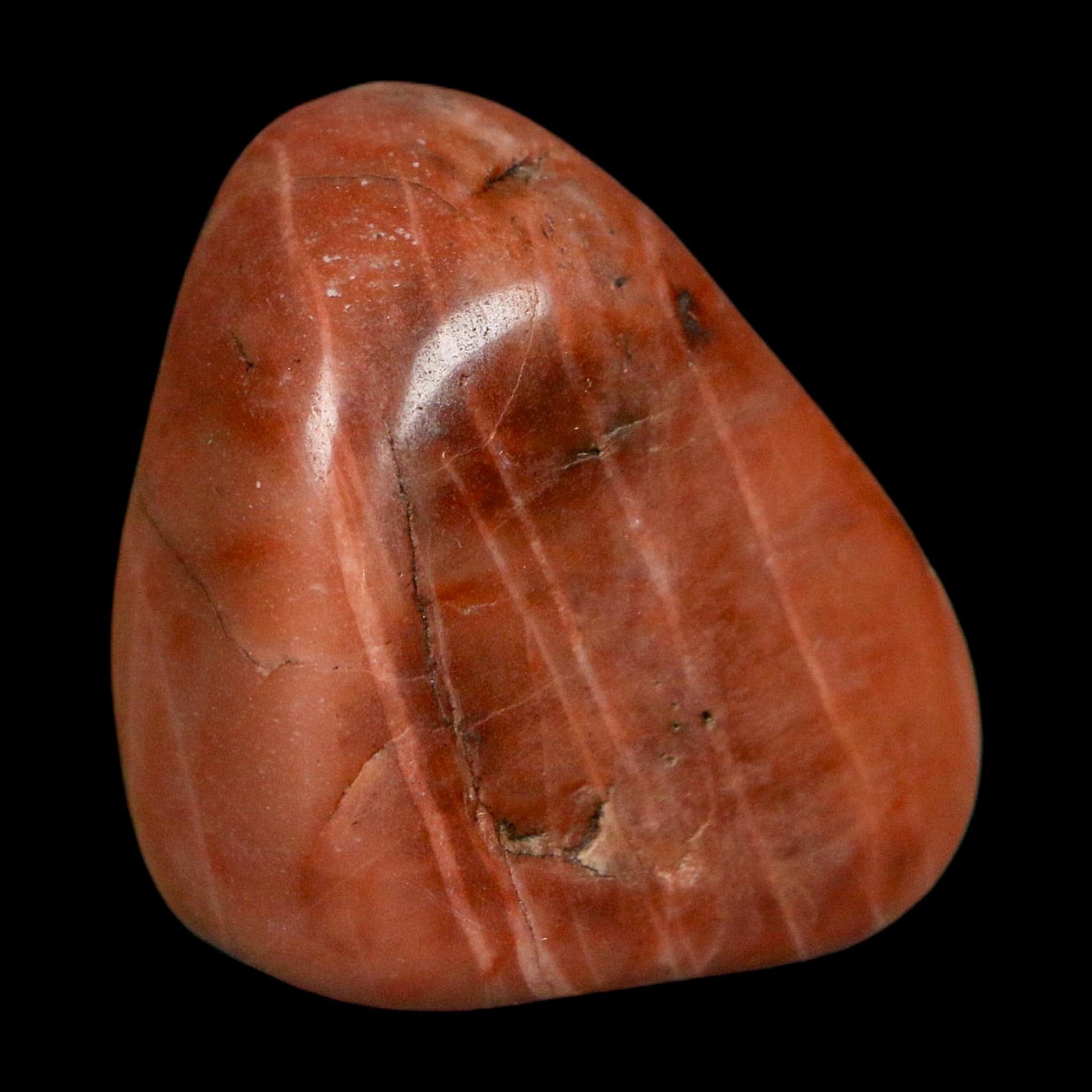 1.4" Sauropod Dinosaur Stomach Stone Gastrolith Rock Gizzard Stone COA - Fossil Age Minerals