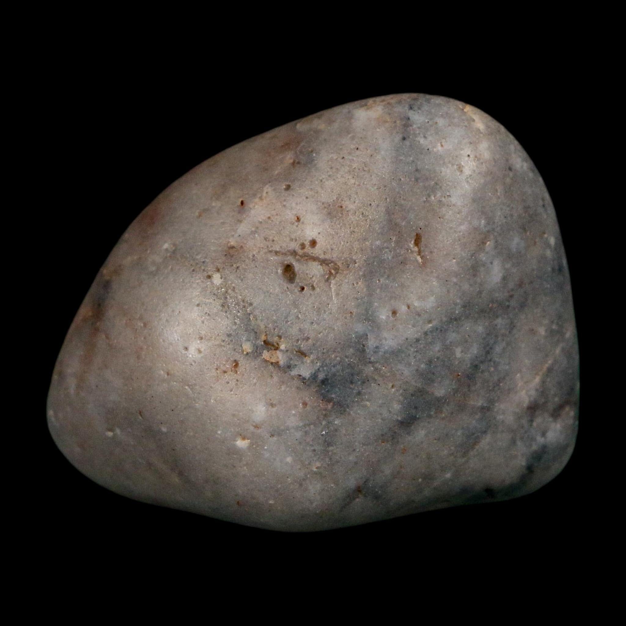 2.1" Sauropod Dinosaur Stomach Stone Gastrolith Rock Gizzard Stone COA - Fossil Age Minerals