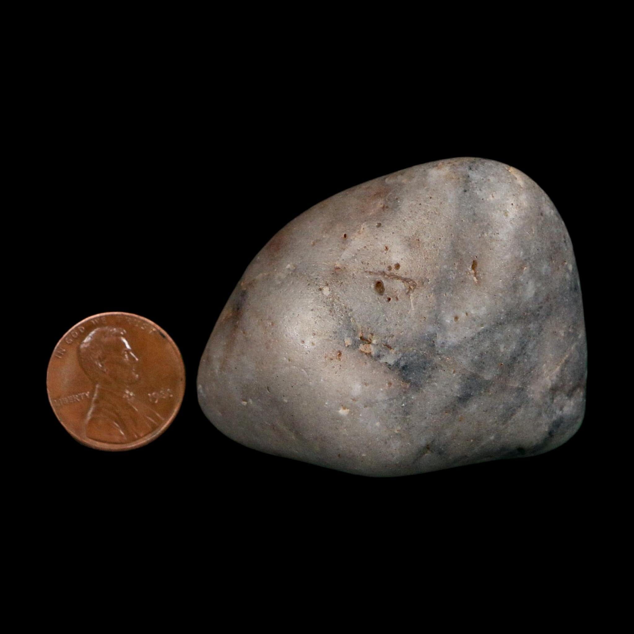 2.1" Sauropod Dinosaur Stomach Stone Gastrolith Rock Gizzard Stone COA - Fossil Age Minerals