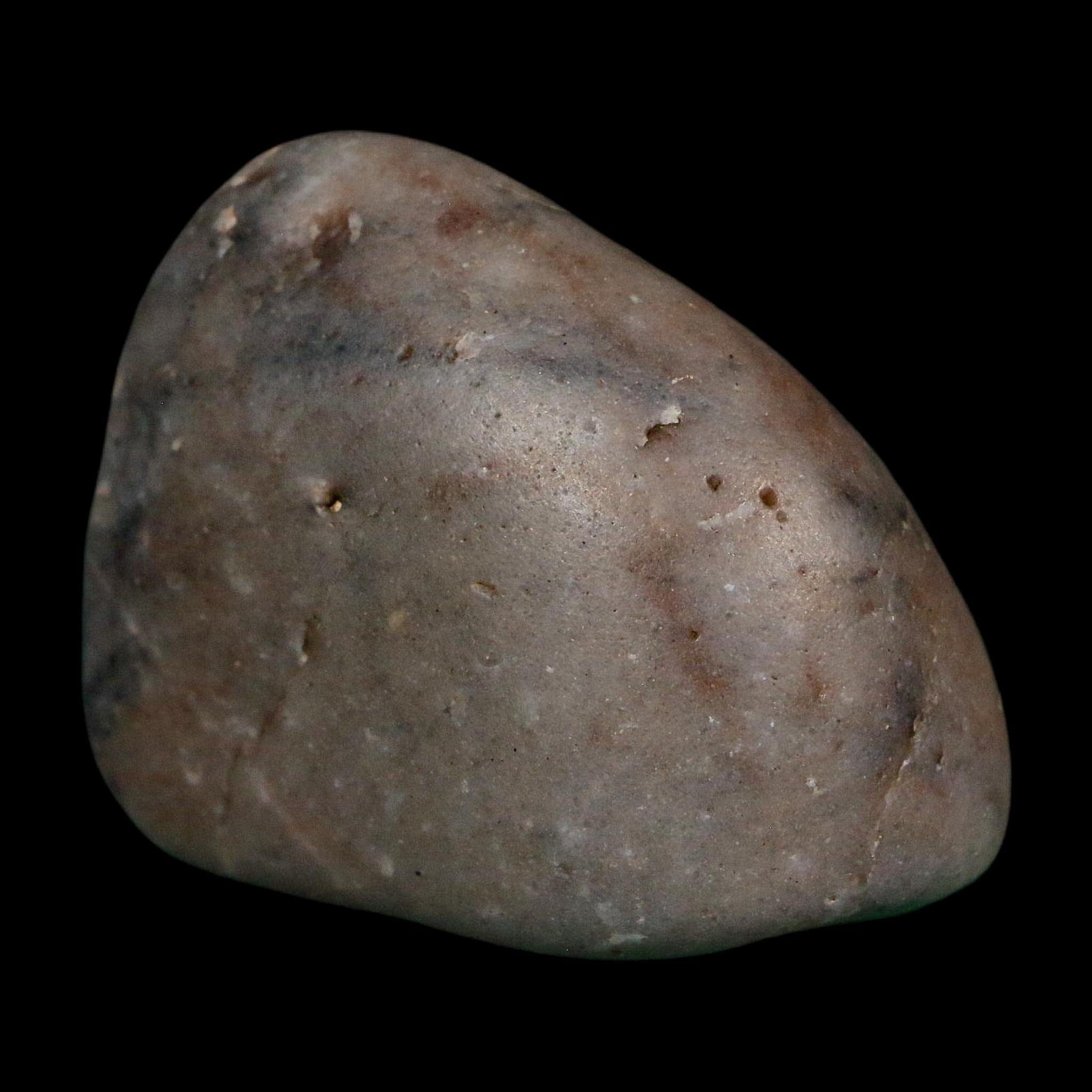 2.1" Sauropod Dinosaur Stomach Stone Gastrolith Rock Gizzard Stone COA - Fossil Age Minerals
