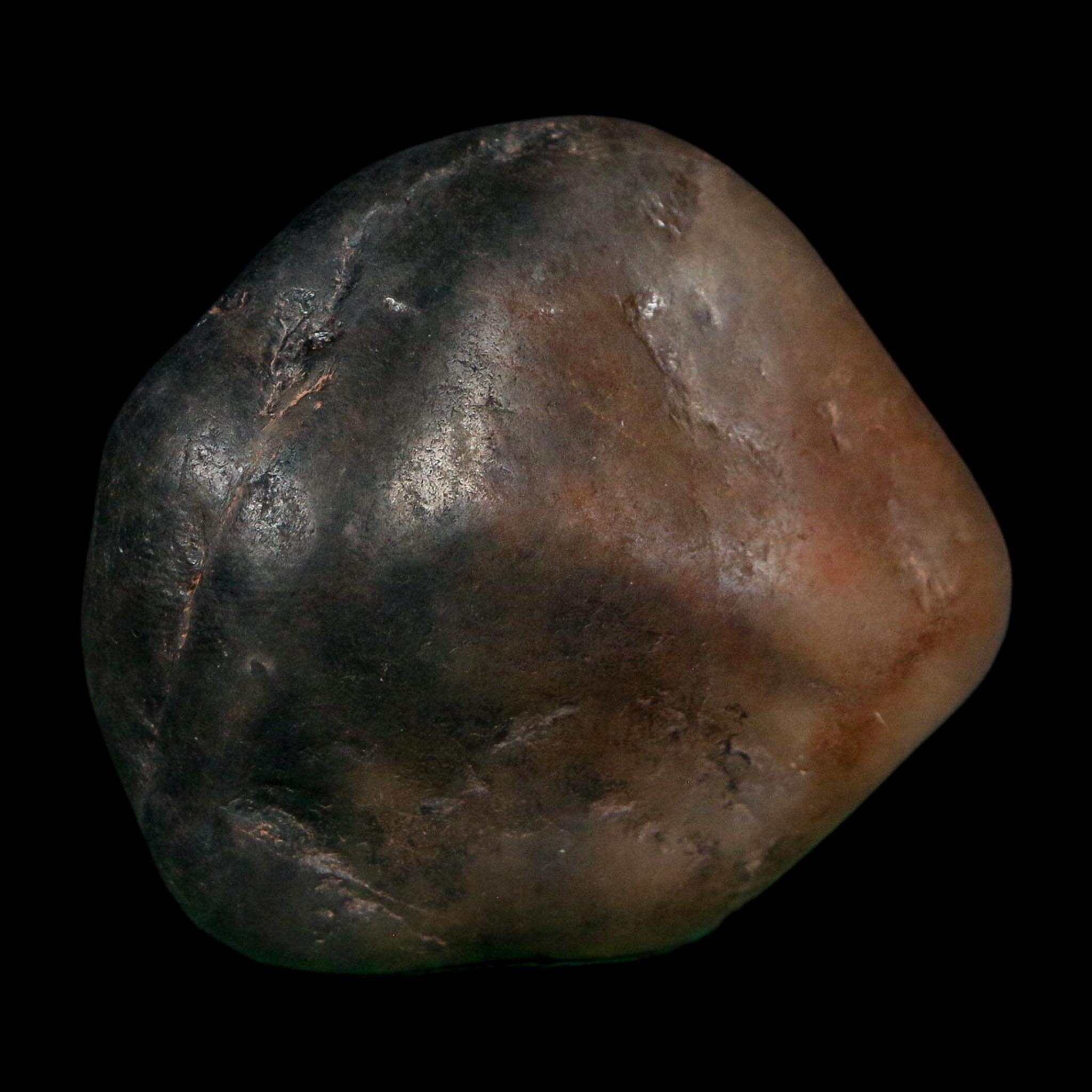 2.1" Sauropod Dinosaur Stomach Stone Gastrolith Rock Gizzard Stone COA - Fossil Age Minerals