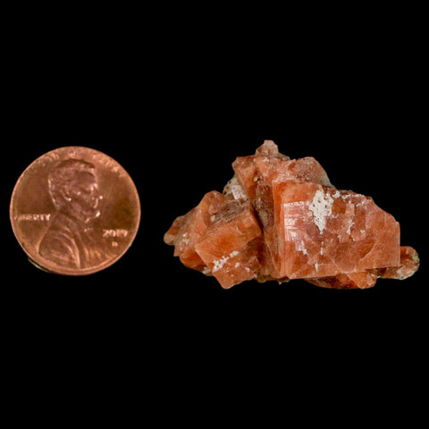 1.4" Orange Chabazite Zeolite Mineral Specimen Er Rachidia Province, Morocco - Fossil Age Minerals