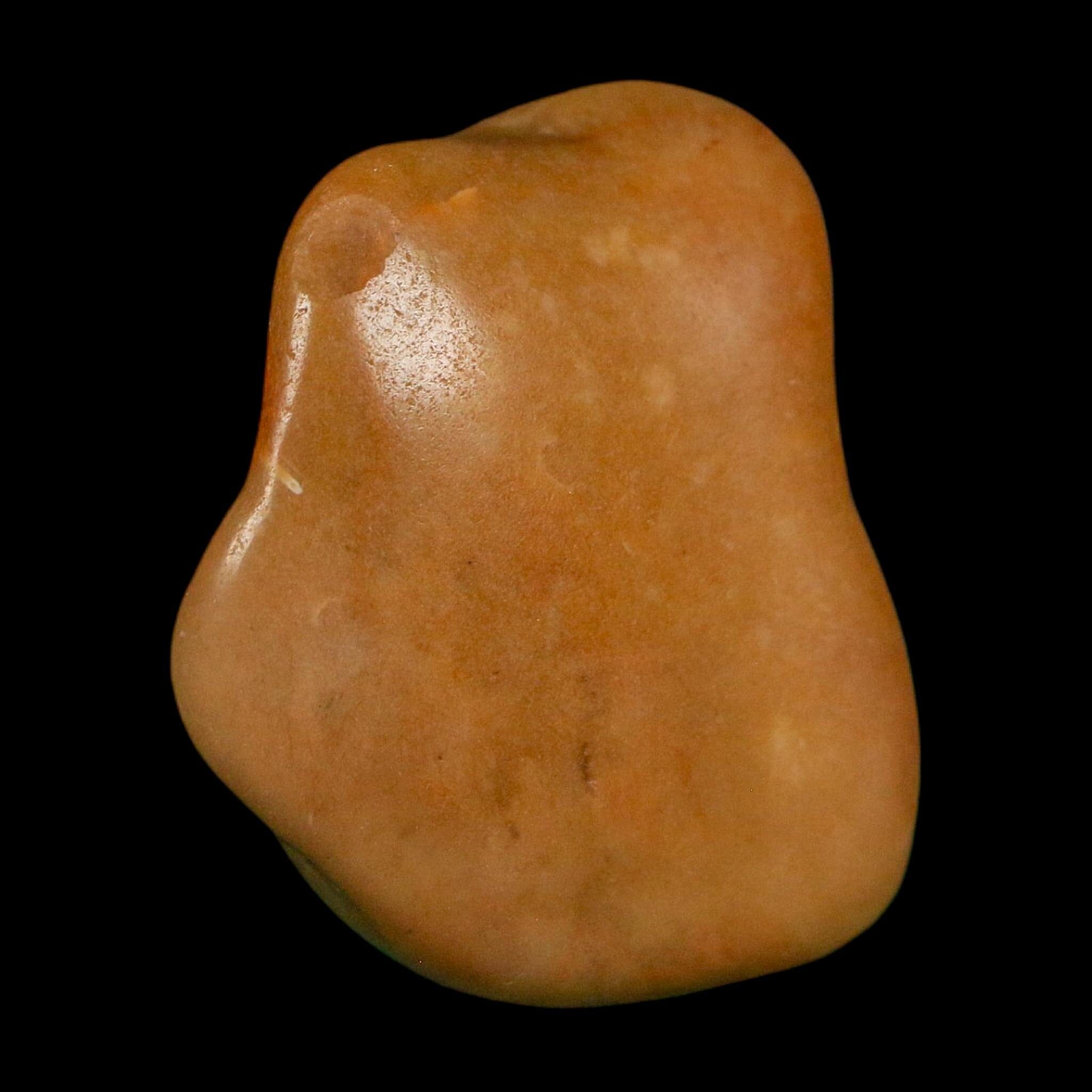 1.3" Sauropod Dinosaur Stomach Stone Gastrolith Rock Gizzard Stone COA - Fossil Age Minerals