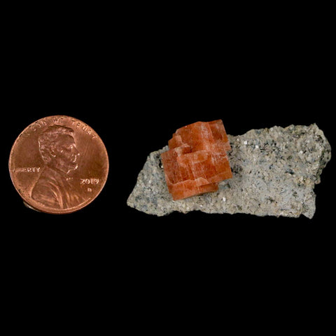 1.5" Orange Chabazite Zeolite Mineral Specimen Er Rachidia Province, Morocco - Fossil Age Minerals