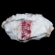 2.2" Natural Rough Pink Tourmaline on Crystal Quartz Mineral Specimen Brazil