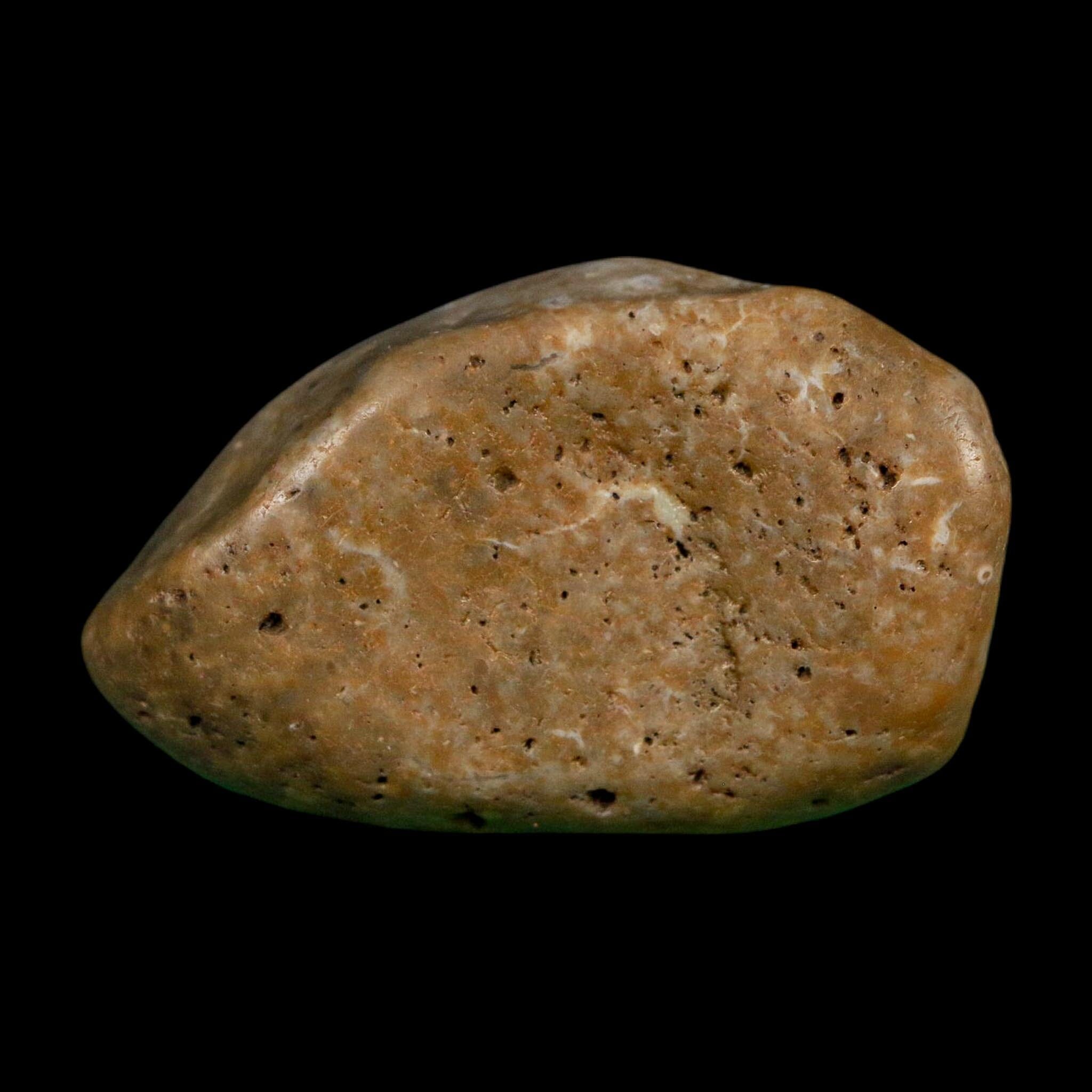 2" Sauropod Dinosaur Stomach Stone Gastrolith Rock Gizzard Stone COA - Fossil Age Minerals