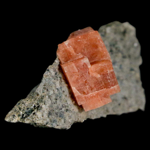 1.5" Orange Chabazite Zeolite Mineral Specimen Er Rachidia Province, Morocco - Fossil Age Minerals