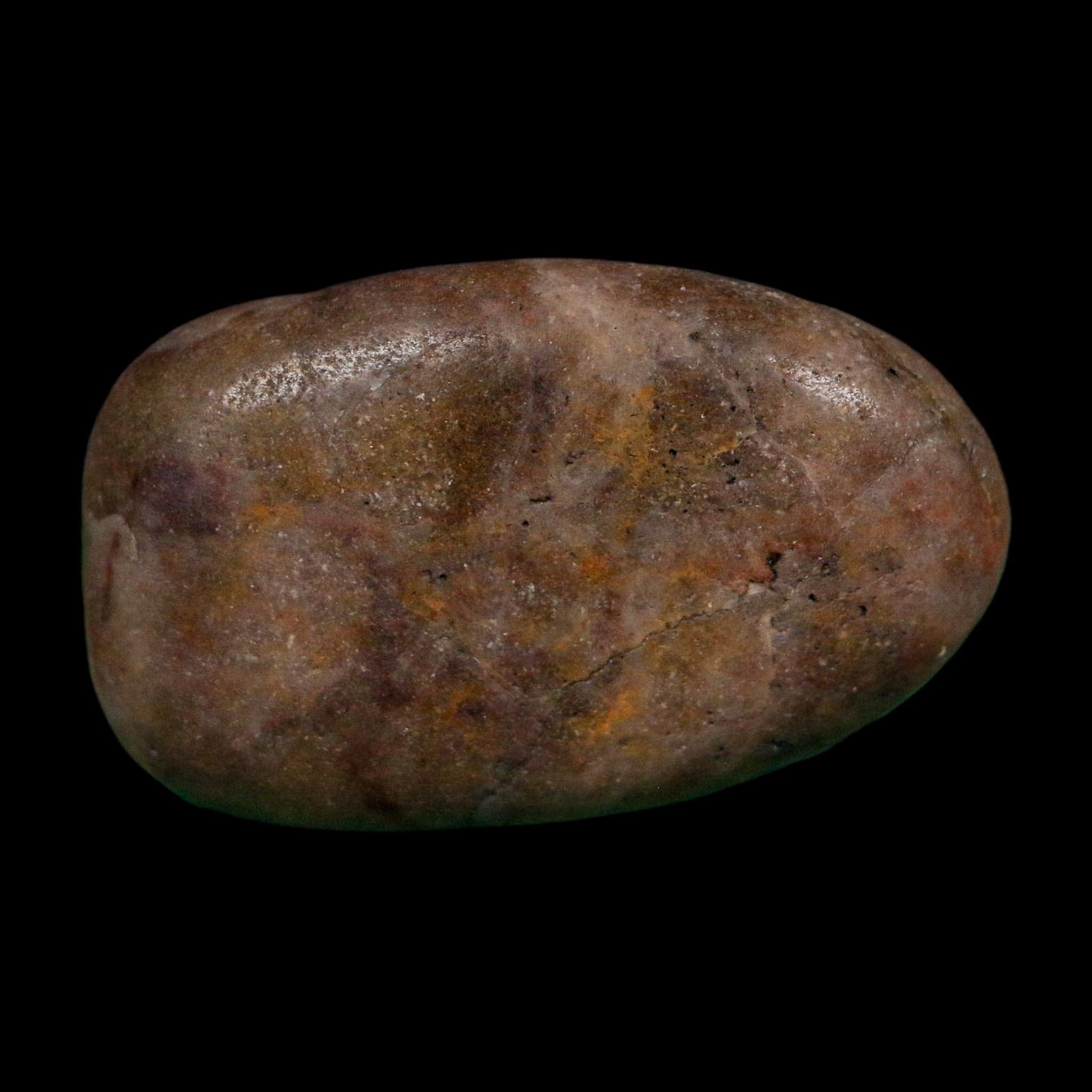 1.8" Sauropod Dinosaur Stomach Stone Gastrolith Rock Gizzard Stone COA - Fossil Age Minerals