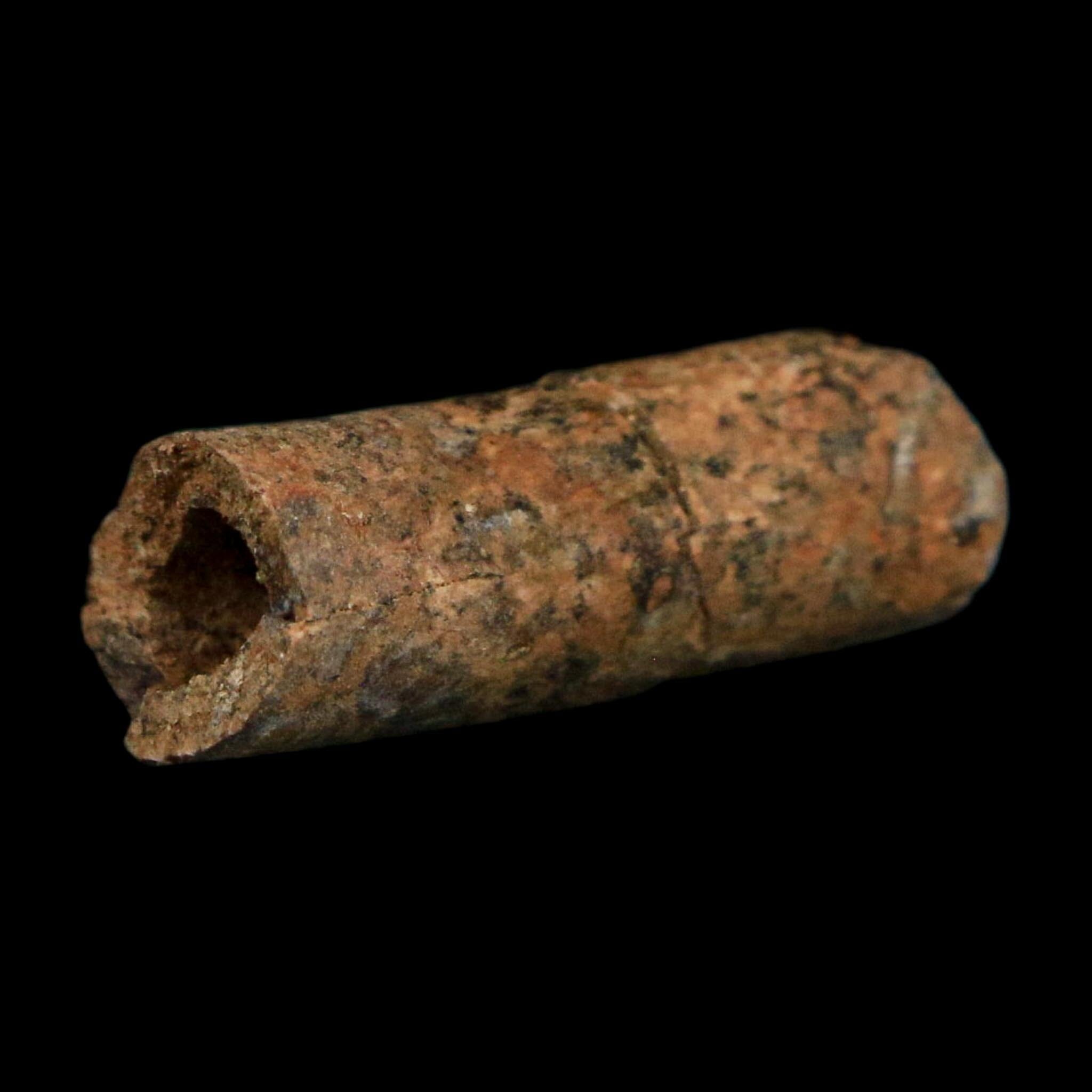 1" Raptor Fossil Ulna Bone Cretaceous Dinosaur Judith River FM Montana COA, Display - Fossil Age Minerals
