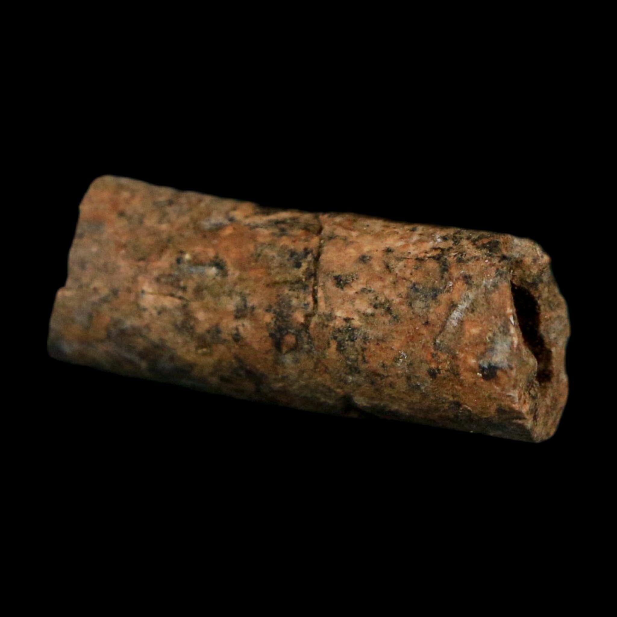 1" Raptor Fossil Ulna Bone Cretaceous Dinosaur Judith River FM Montana COA, Display - Fossil Age Minerals